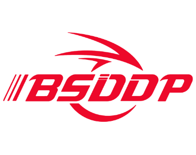 BSDDP